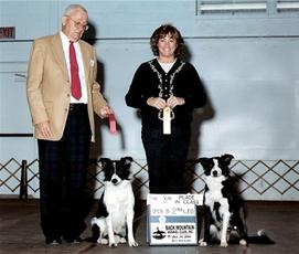 Top Dog Obedience School